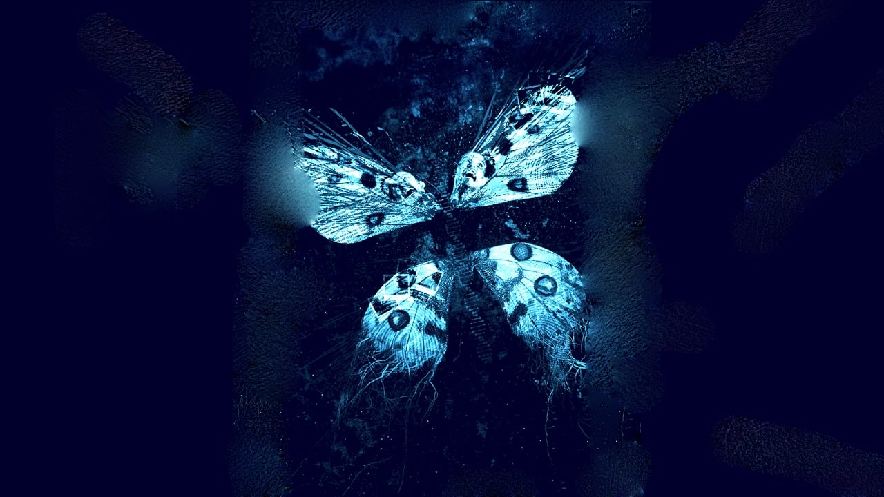 The Butterfly Effect     Revelations movie poster